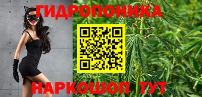 мдпв Беслан