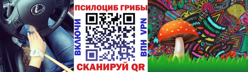 Галлюциногенные грибы GOLDEN TEACHER Серов