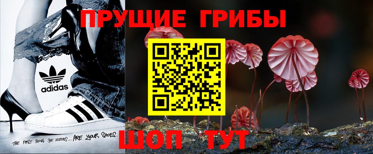 Серов  наркотики  Вход с VPN  Галлюциногенные грибы Psilocybine cubensis 