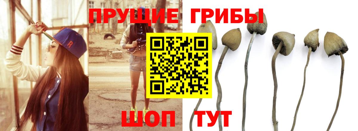 Галлюциногенные грибы MAGIC MUSHROOMS Серов